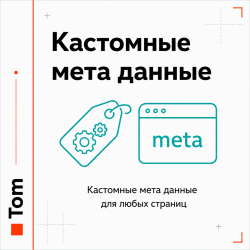 Кастомные мета данные для любых страниц Кастомные мета данные для любых страниц