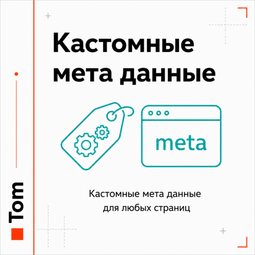 Кастомные мета данные для любых страниц Кастомные мета данные для любых страниц